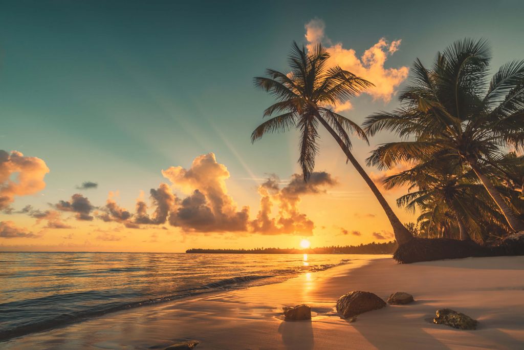 Tropical beach in Punta Cana