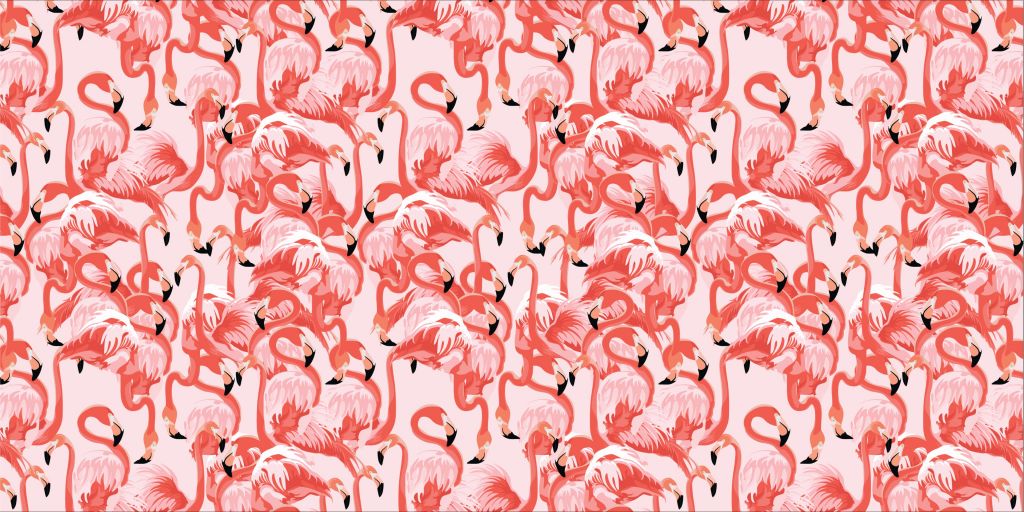 Exotic flamingos