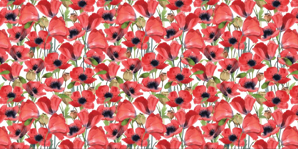 Red poppies