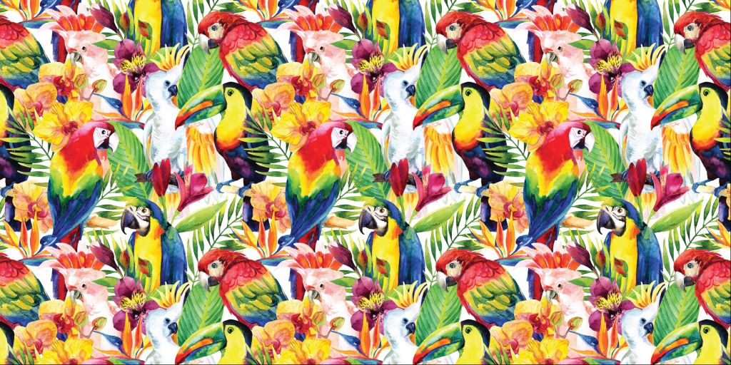 Watercolor parrots