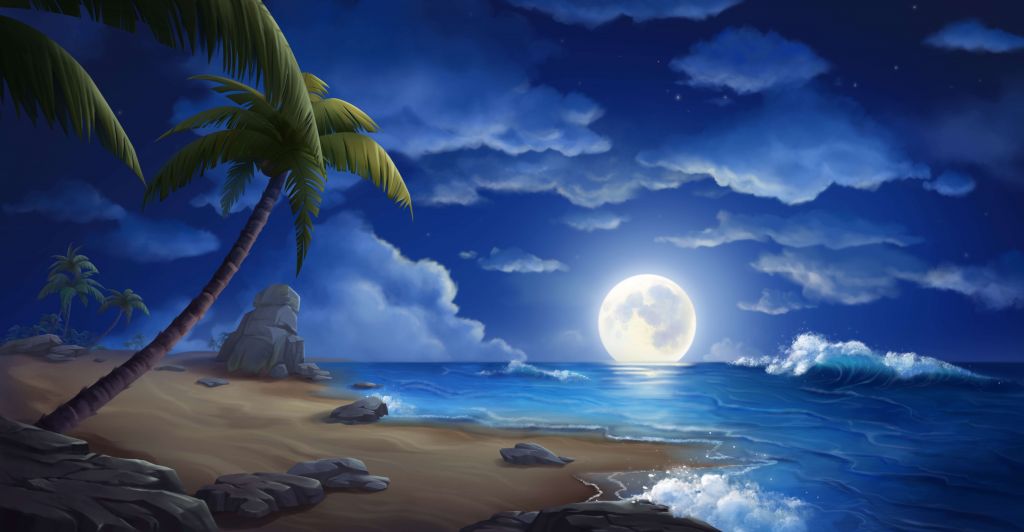 Beautiful beach at night