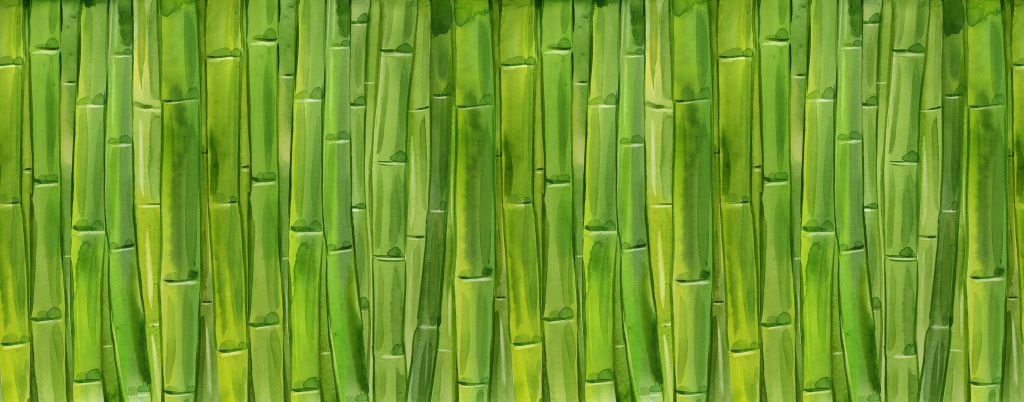 Watercolor bamboo