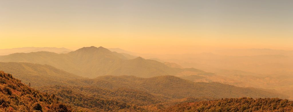 Mountain hill and forest