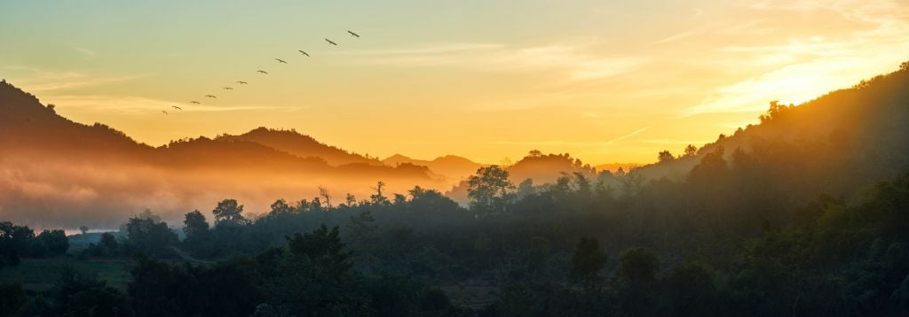 Foggy hills