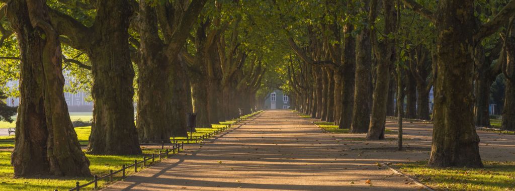 Park in autumn