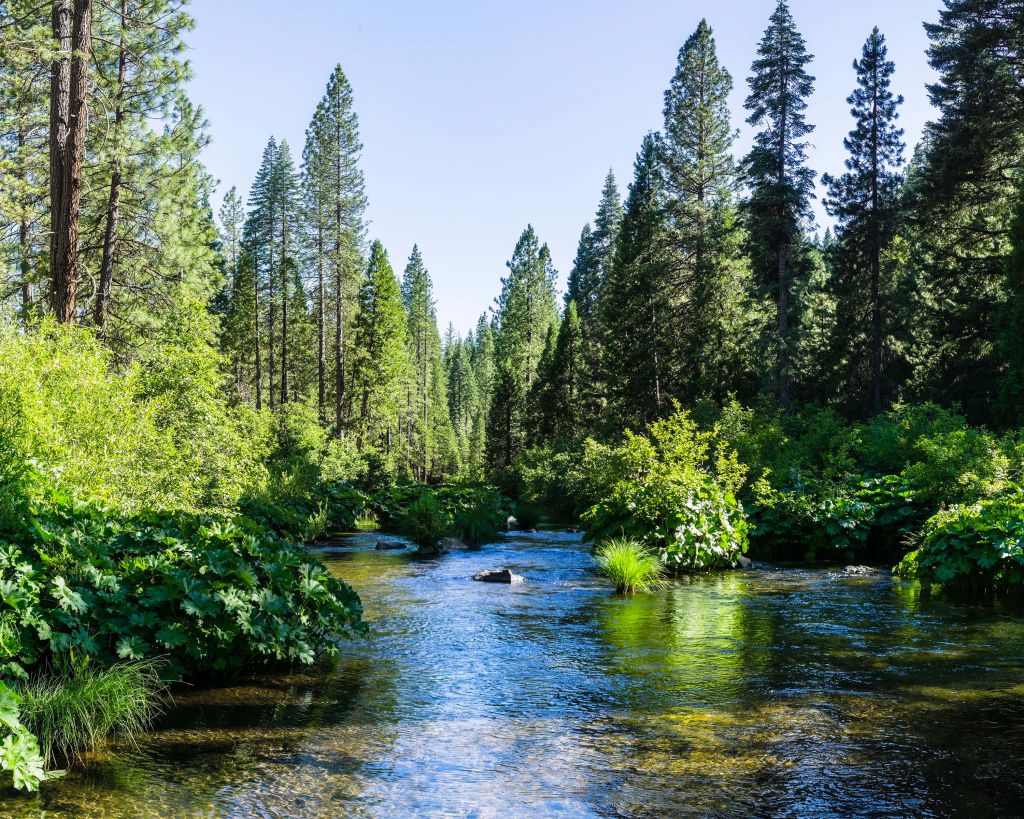 McCloud river