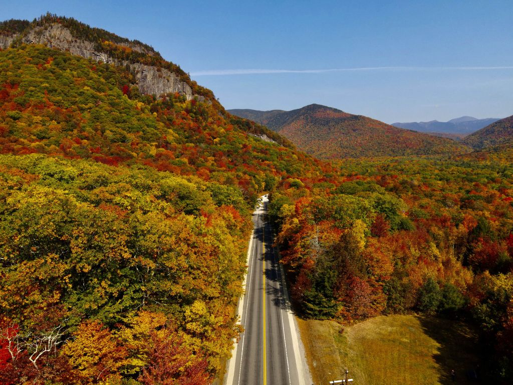 Road through the autumn landscape