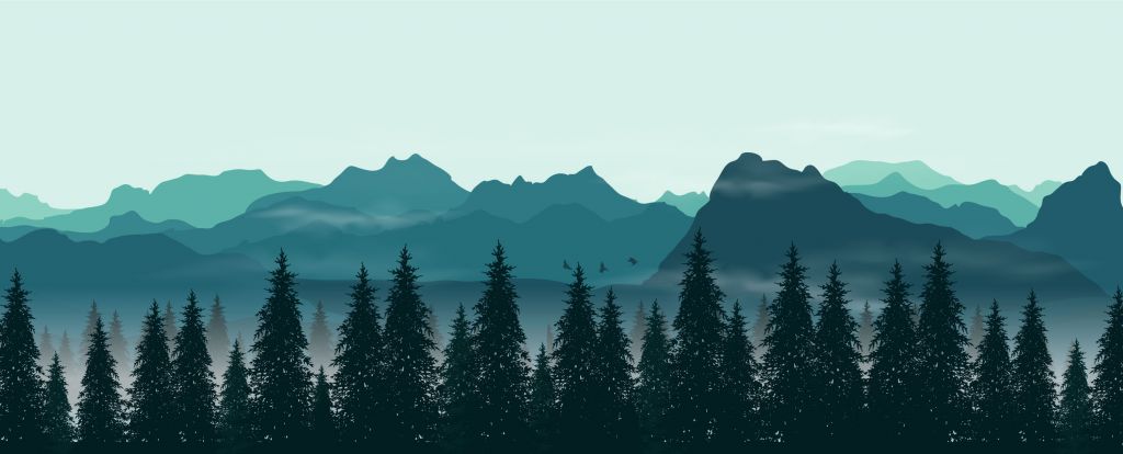 Illustration of forest
