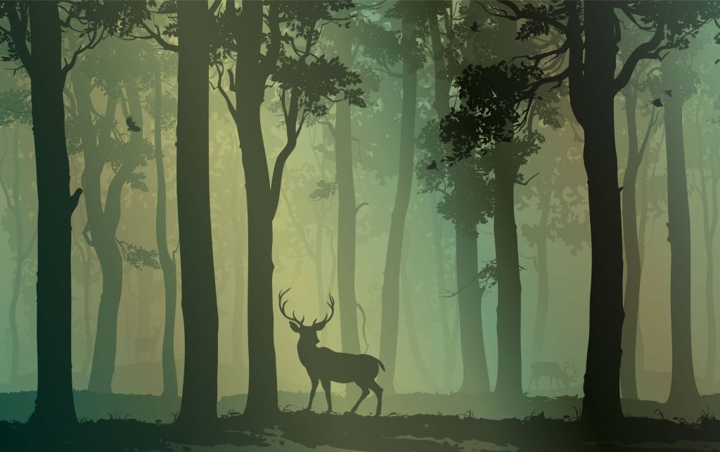 Deer in forest