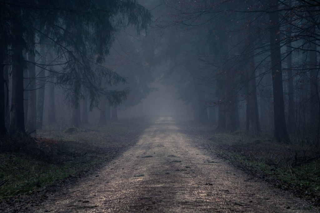 Foggy road