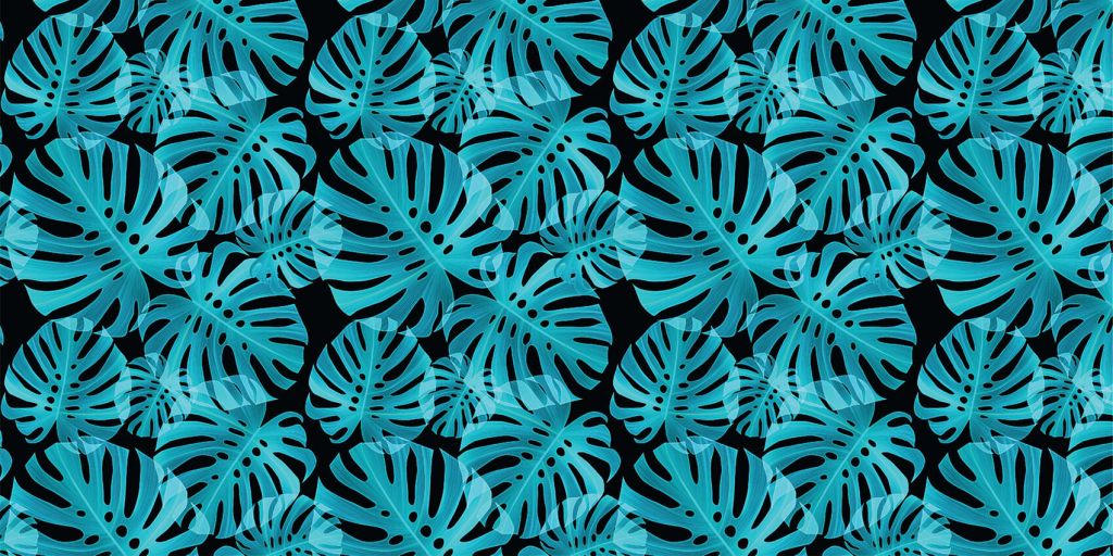 Blue Monstera