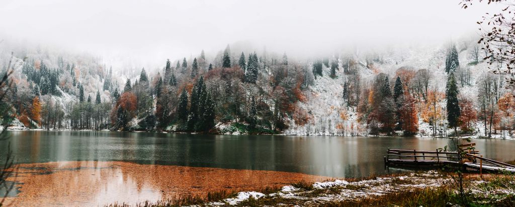 Soft autumn landscape