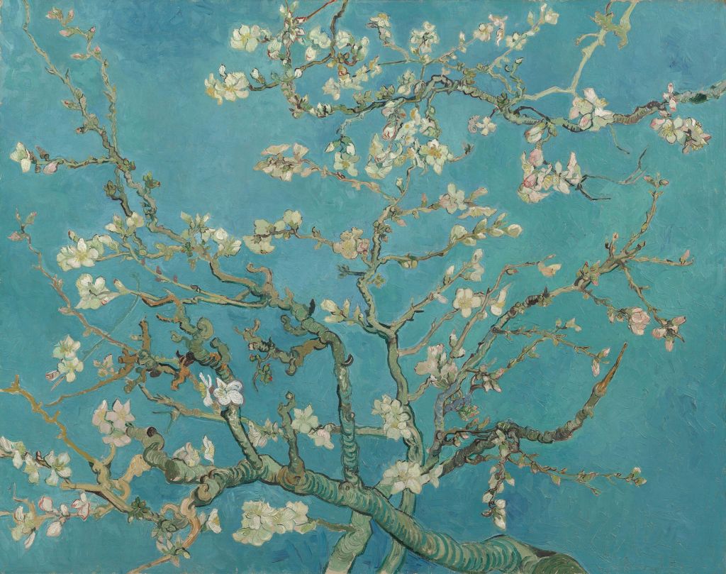 Painted Blossom (Van Gogh)