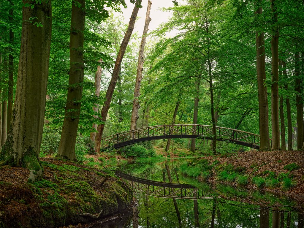 Arch bridge in the woods