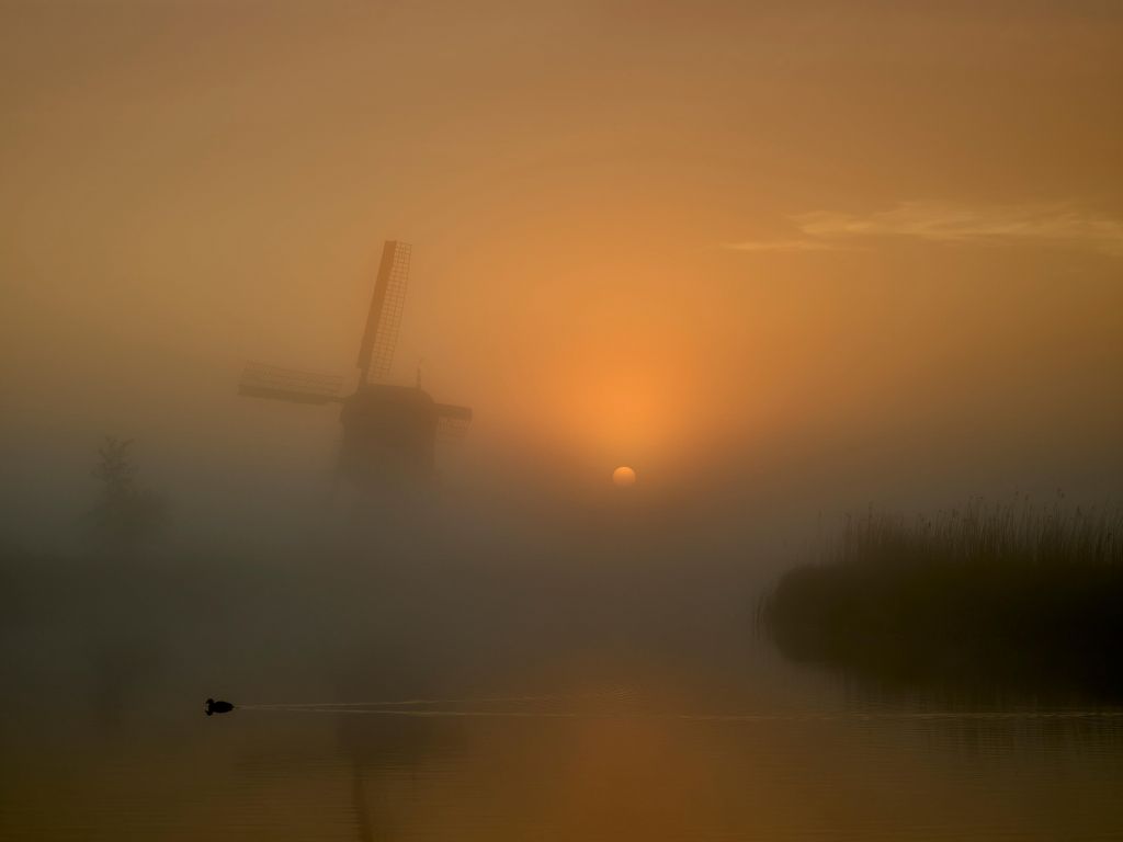 Mill in the mist