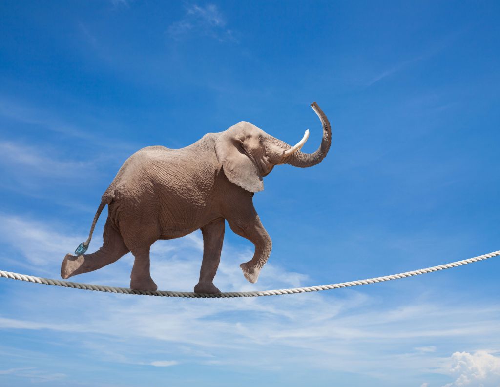 Balancing elephant