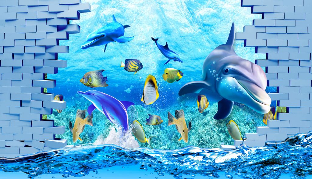 Dolphins behind a wall