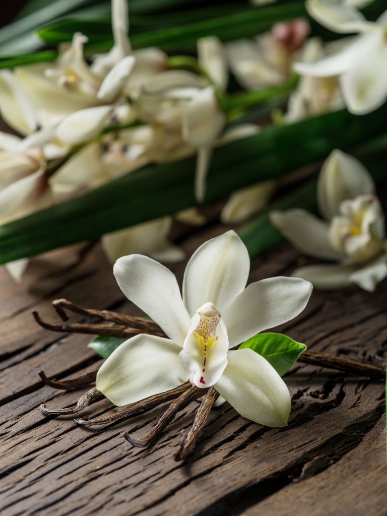 Flower and Vanilla Sticks