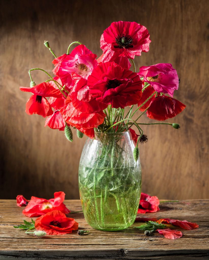 Poppies in a vase