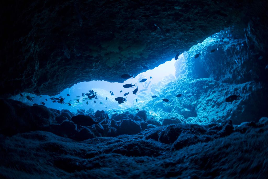 Narrow cave with fish