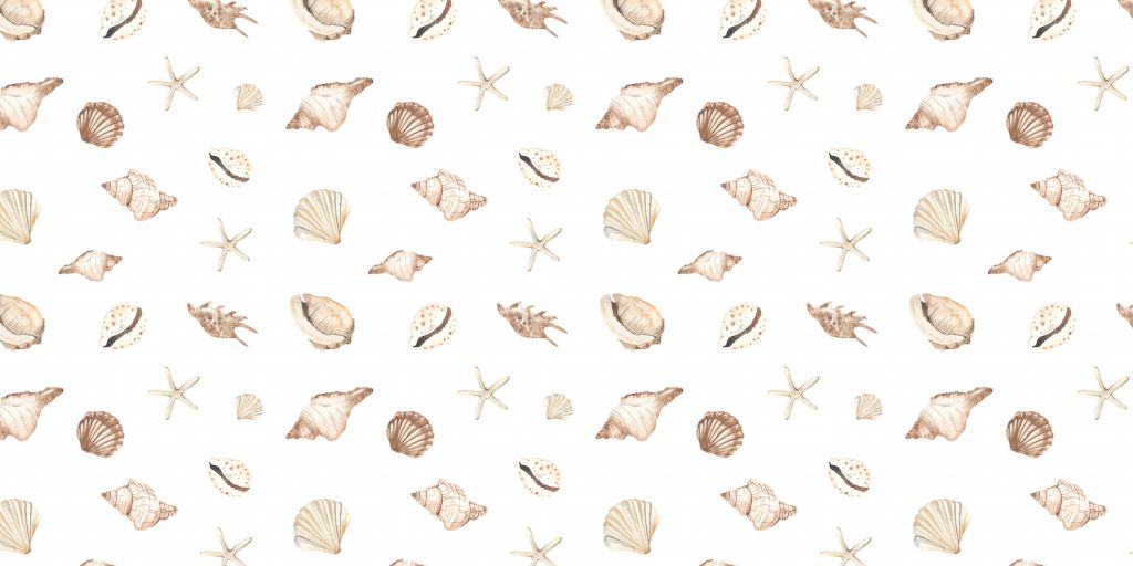 Watercolour shells