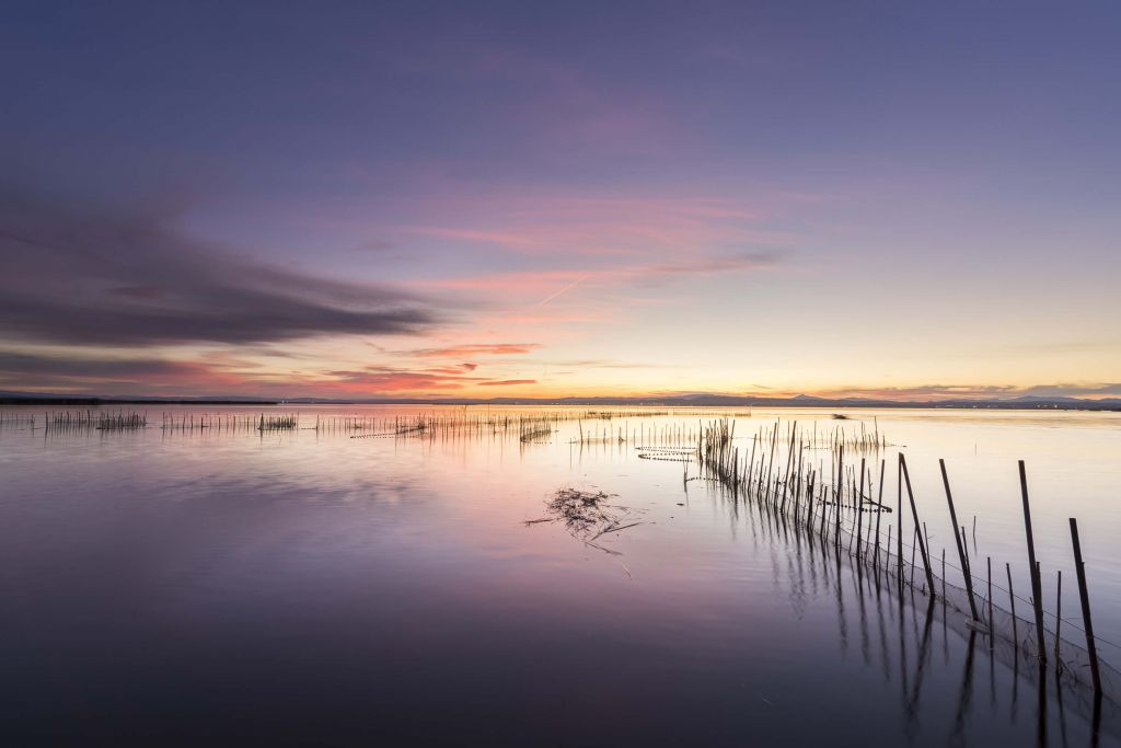 Pinkish purple sunset
