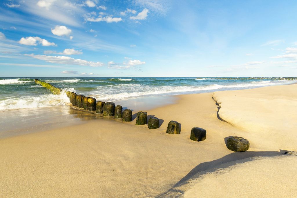 Beach at beautiful day