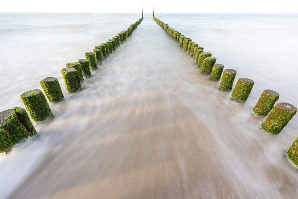 Green groynes