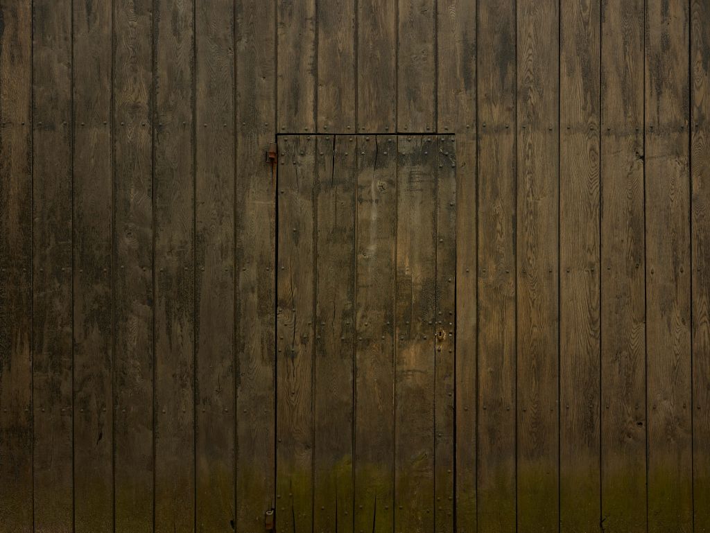 Wooden wall with door