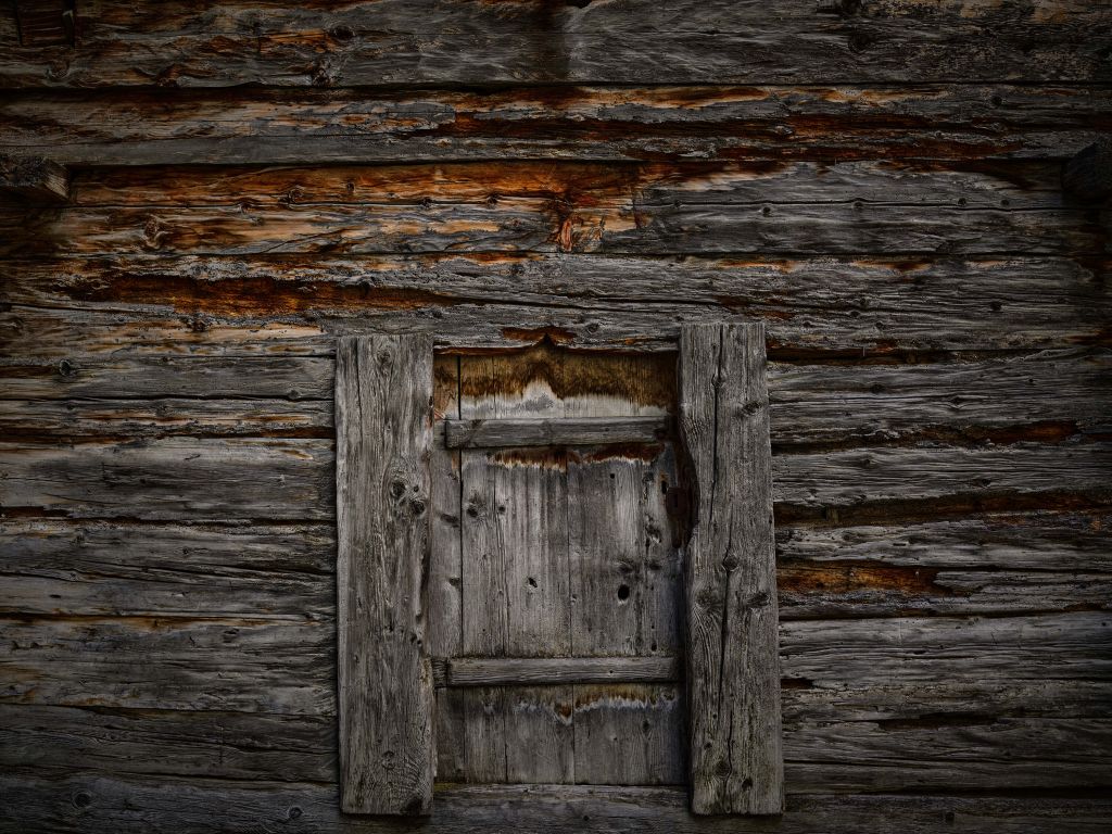 Dark wood with door