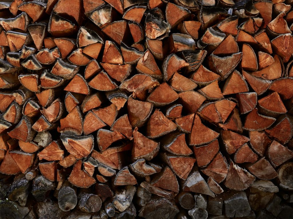 Wood pile