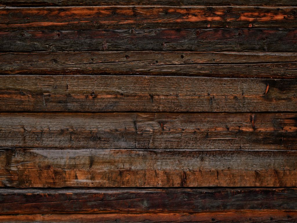 Old burnt wood