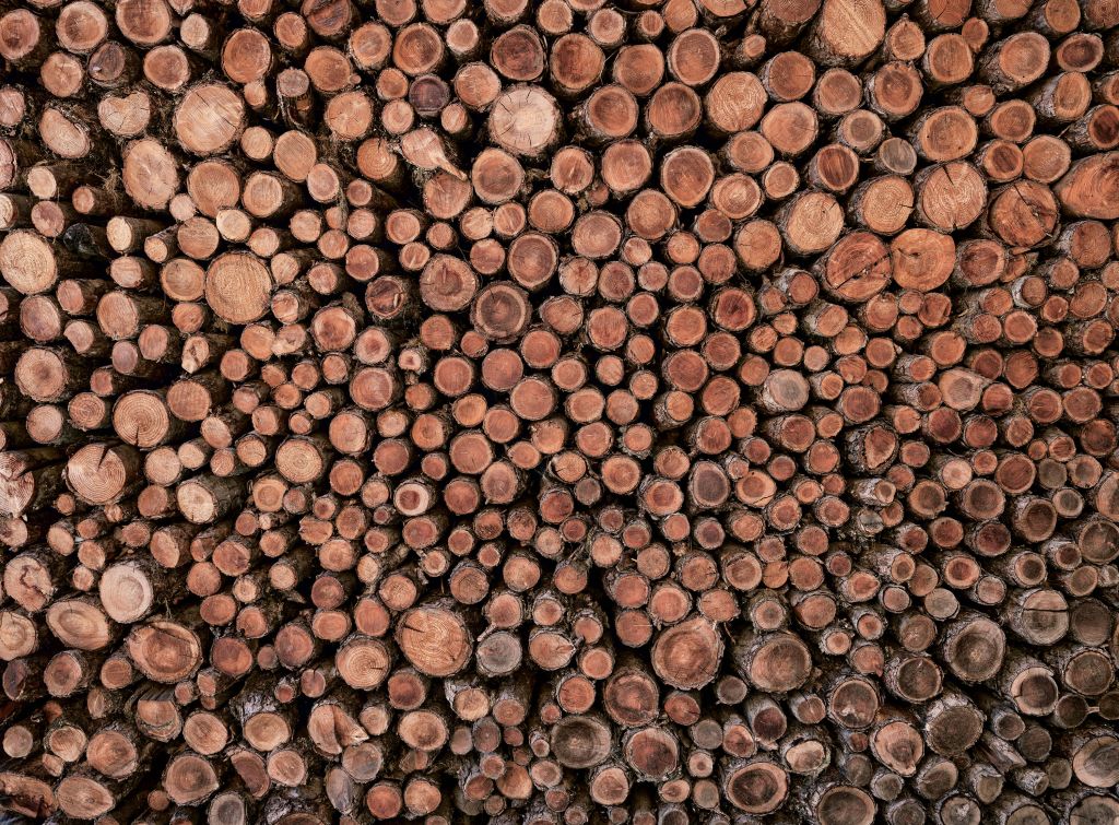 Large pile of logs