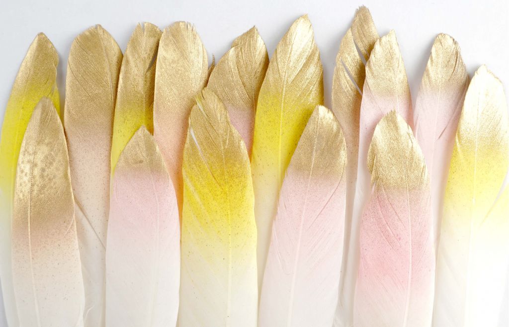 Golden feathers