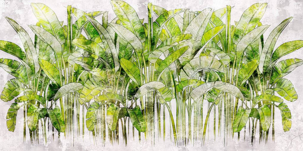 Large drawn palm leaves