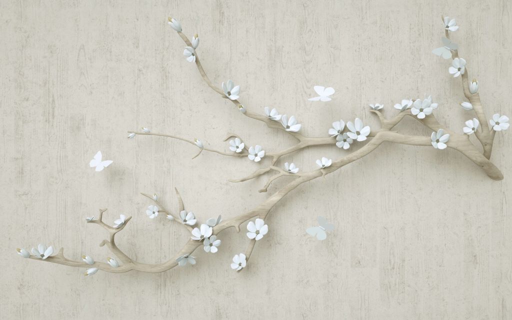 Branch with white flowers on wooden background