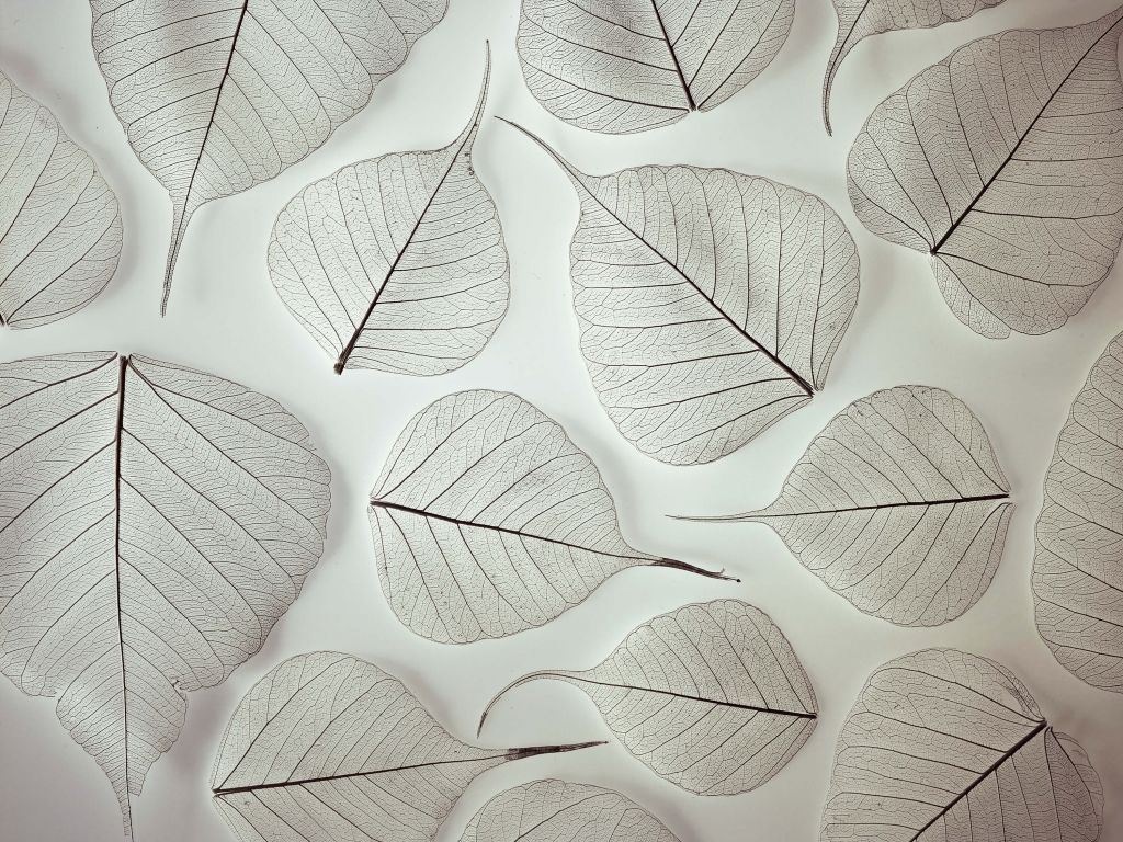 3D leaves