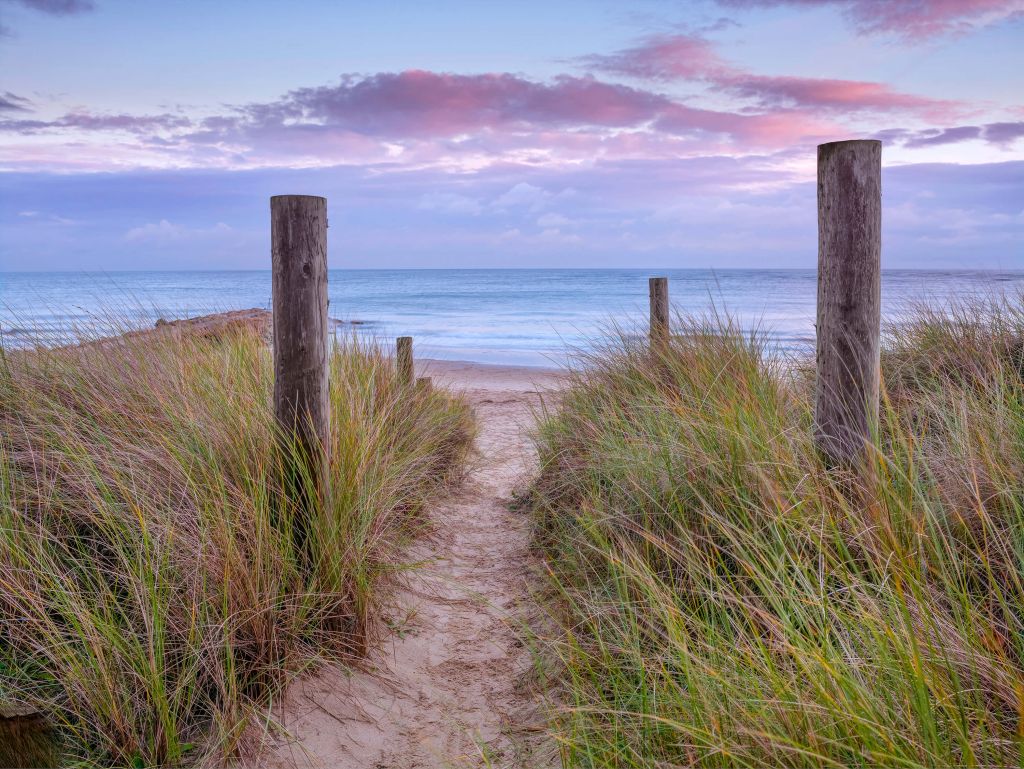 Path to the sea