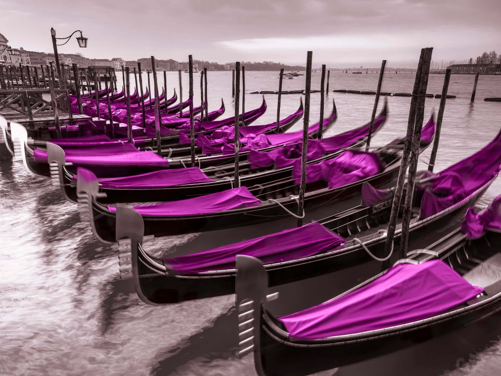 Purple boats