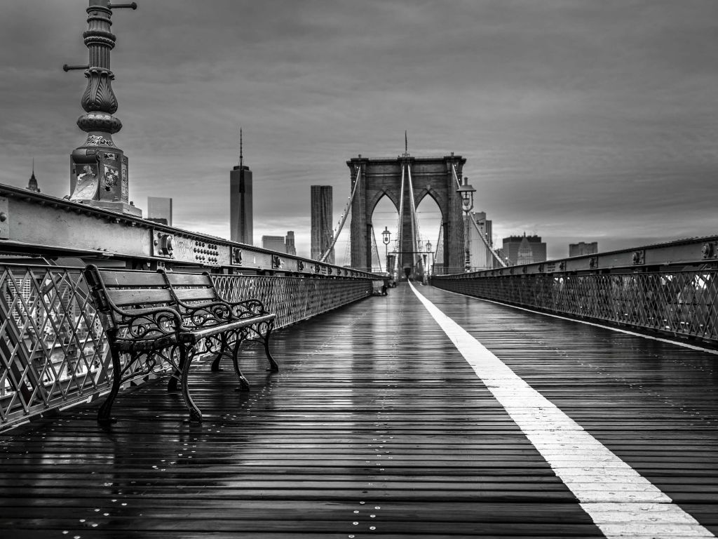 Bridge in New York