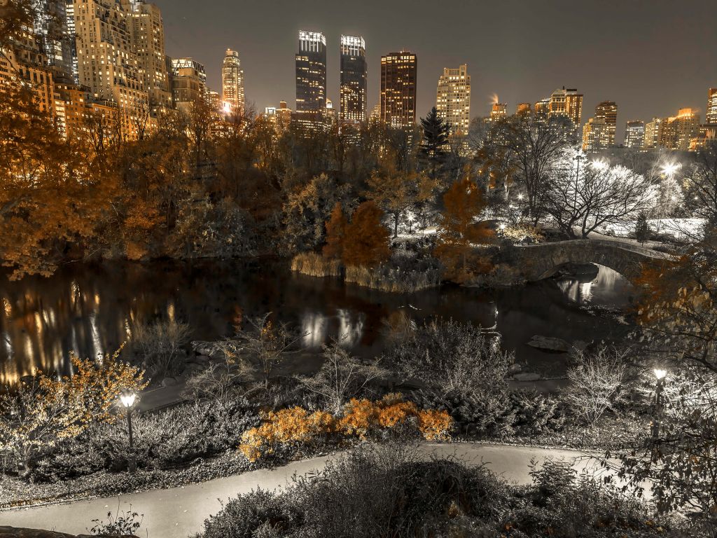 Park at night