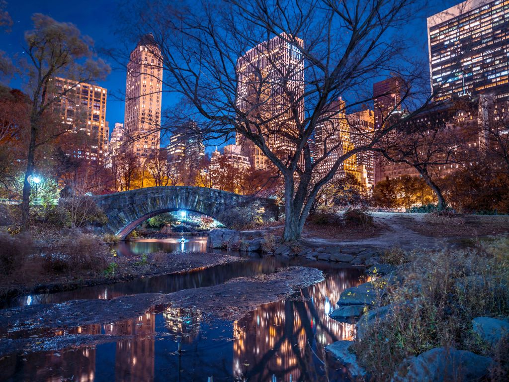 Atmospheric New York