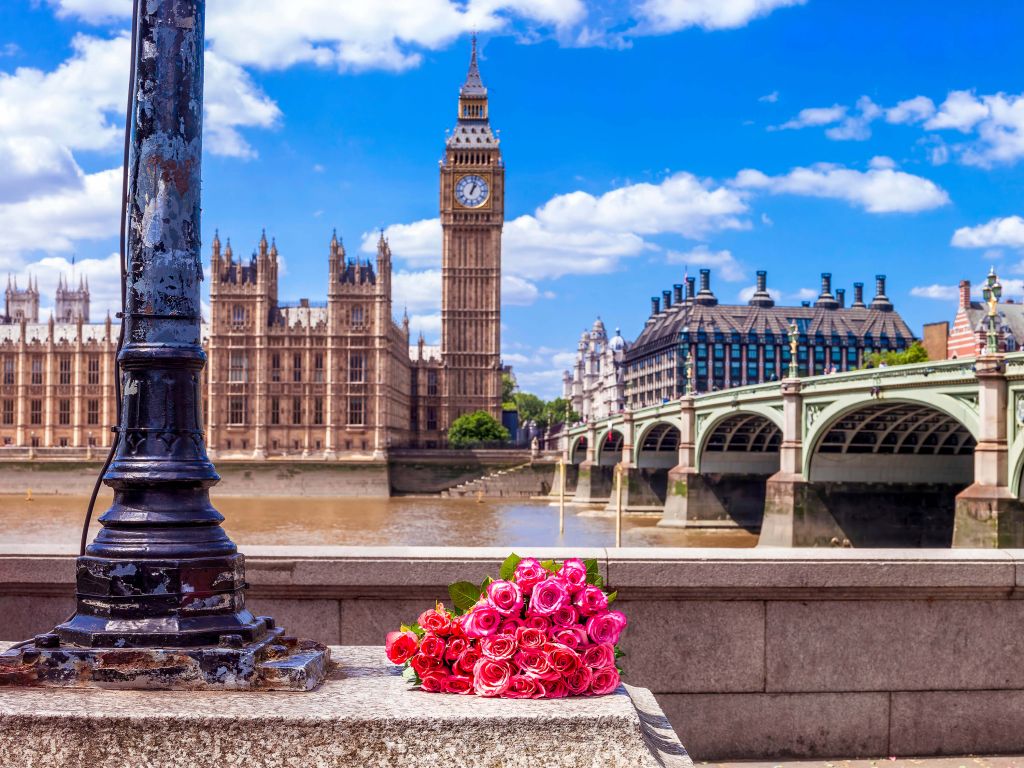 Pink roses in London