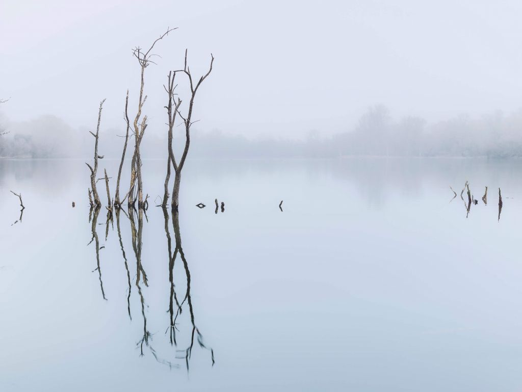 Deserted lake