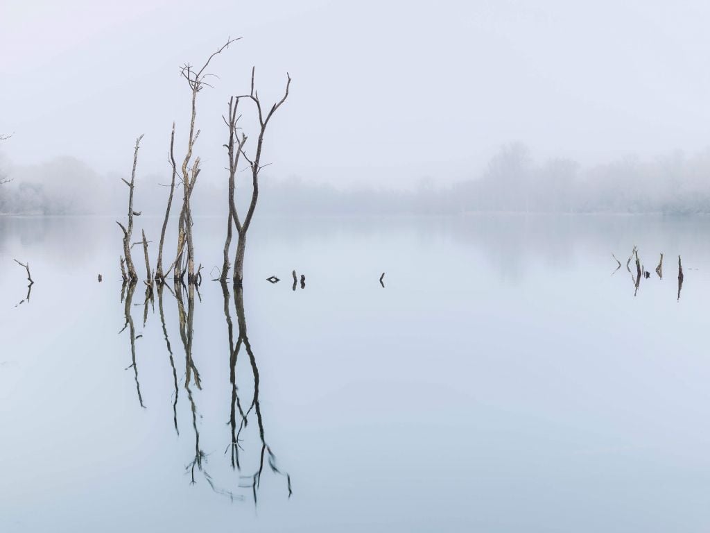 Deserted lake