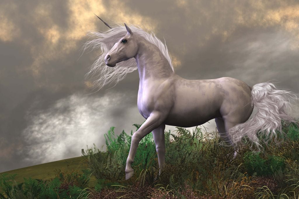 Unicorn in the storm