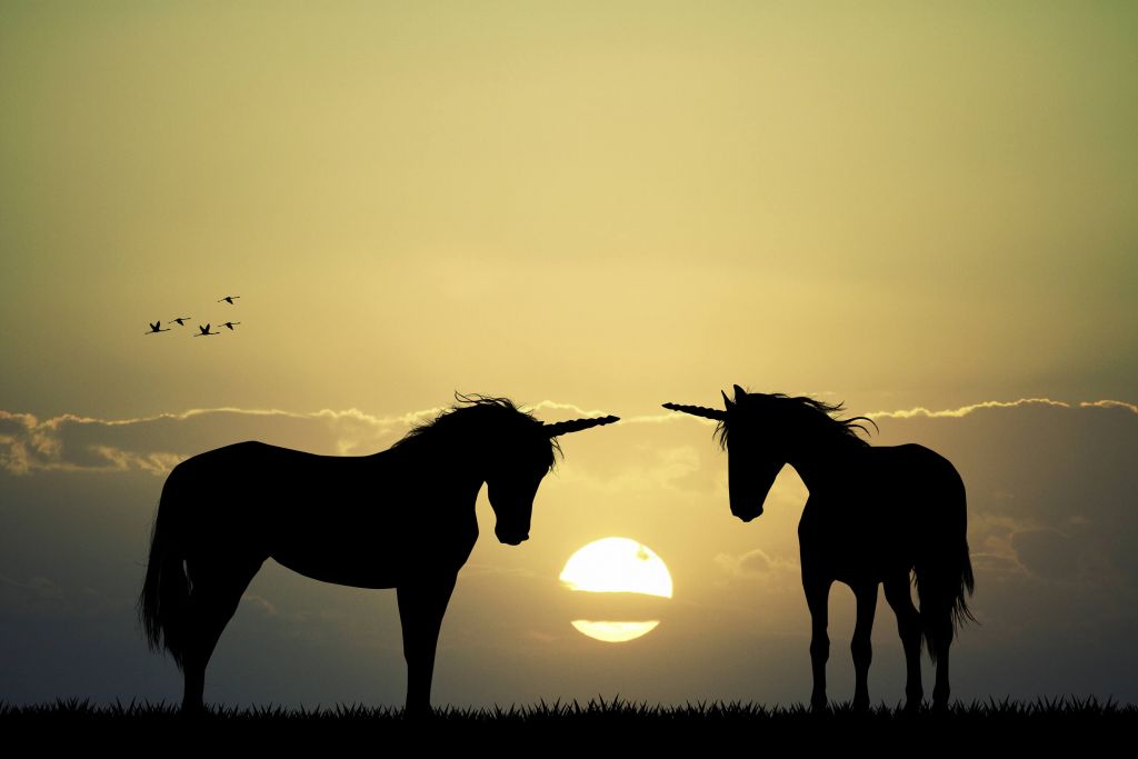 Unicorns at sunset