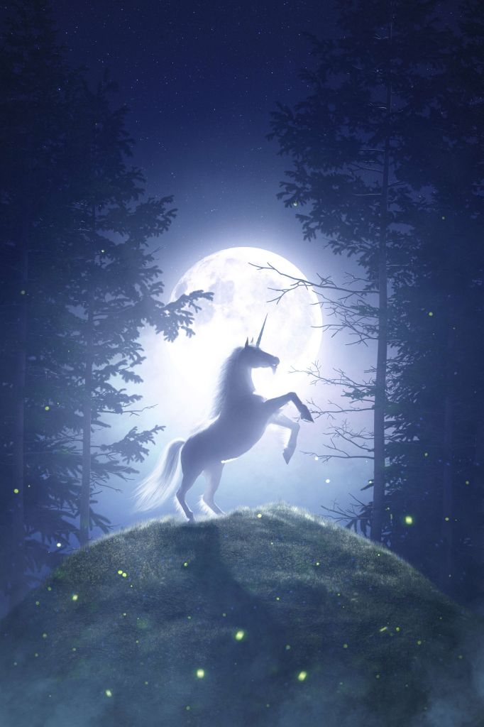 Unicorn at full moon