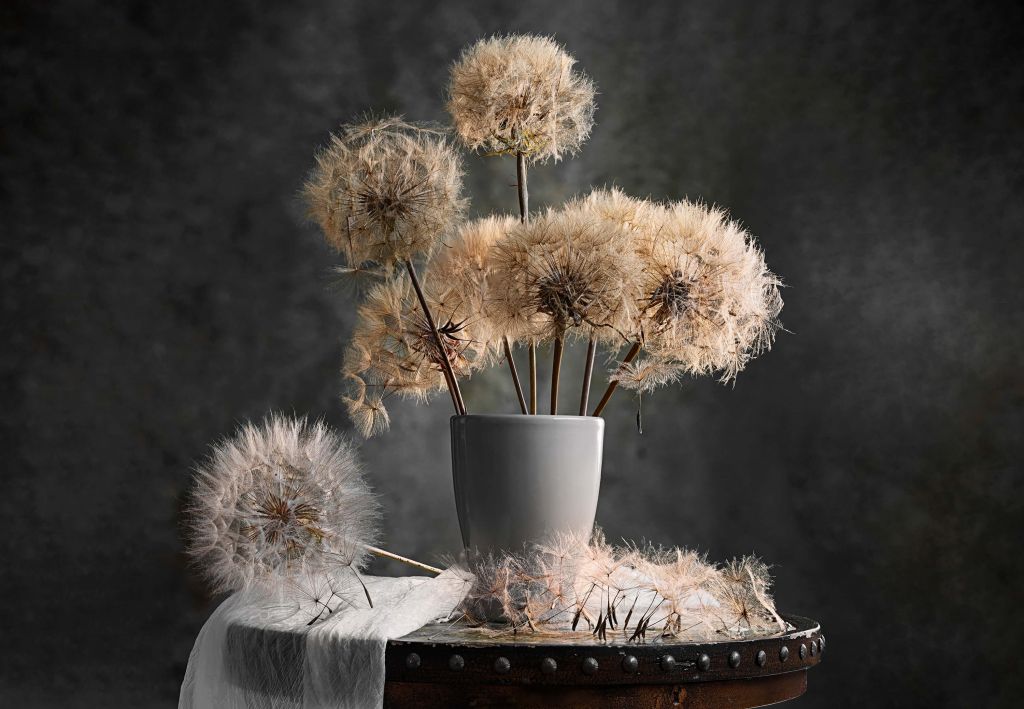 Dandelion Seed Pod