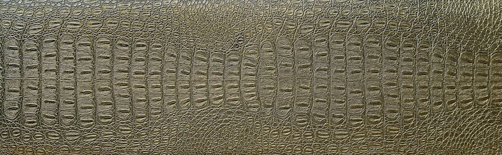 Skin of crocodile